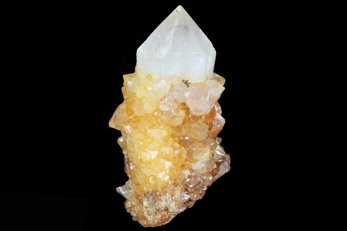 Sunshine Cactus Quartz Crystal - South Africa #80192